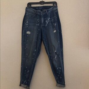 Lane Bryant Women's Blue Jeans